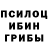 Галлюциногенные грибы MAGIC MUSHROOMS Johnson Pernesky