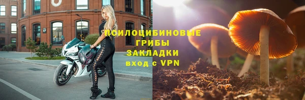 гидра Магас