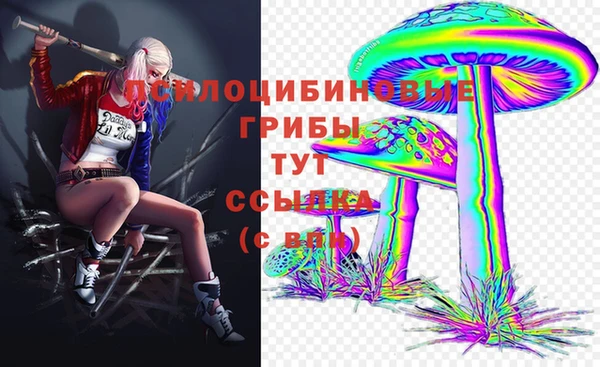 шишки Магадан