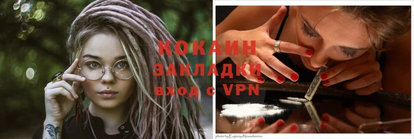 гидра Магас