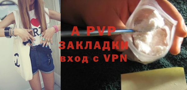 шишки Магадан