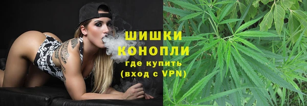 шишки Магадан
