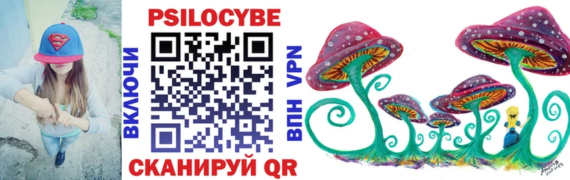 Псилоцибиновые грибы мицелий  Купить закладки  Камызяк 